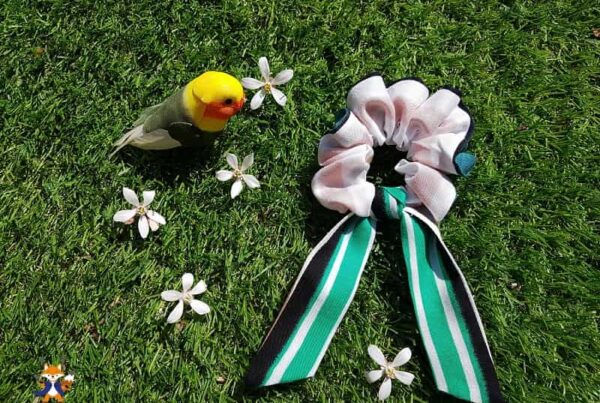 chouchou de cape et d'idees 800px min